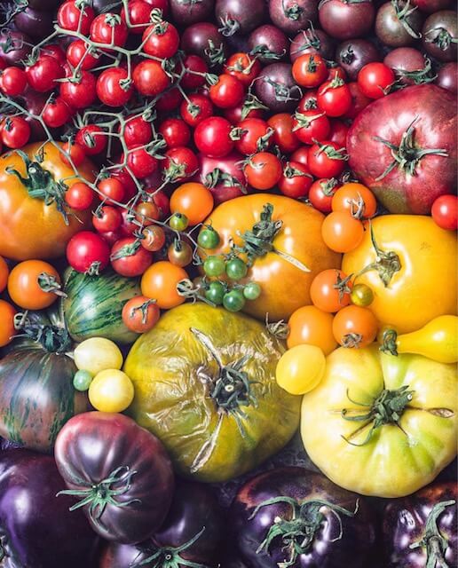 Sun Kissed Recipes: Ways to Eat Summer Tomatoes