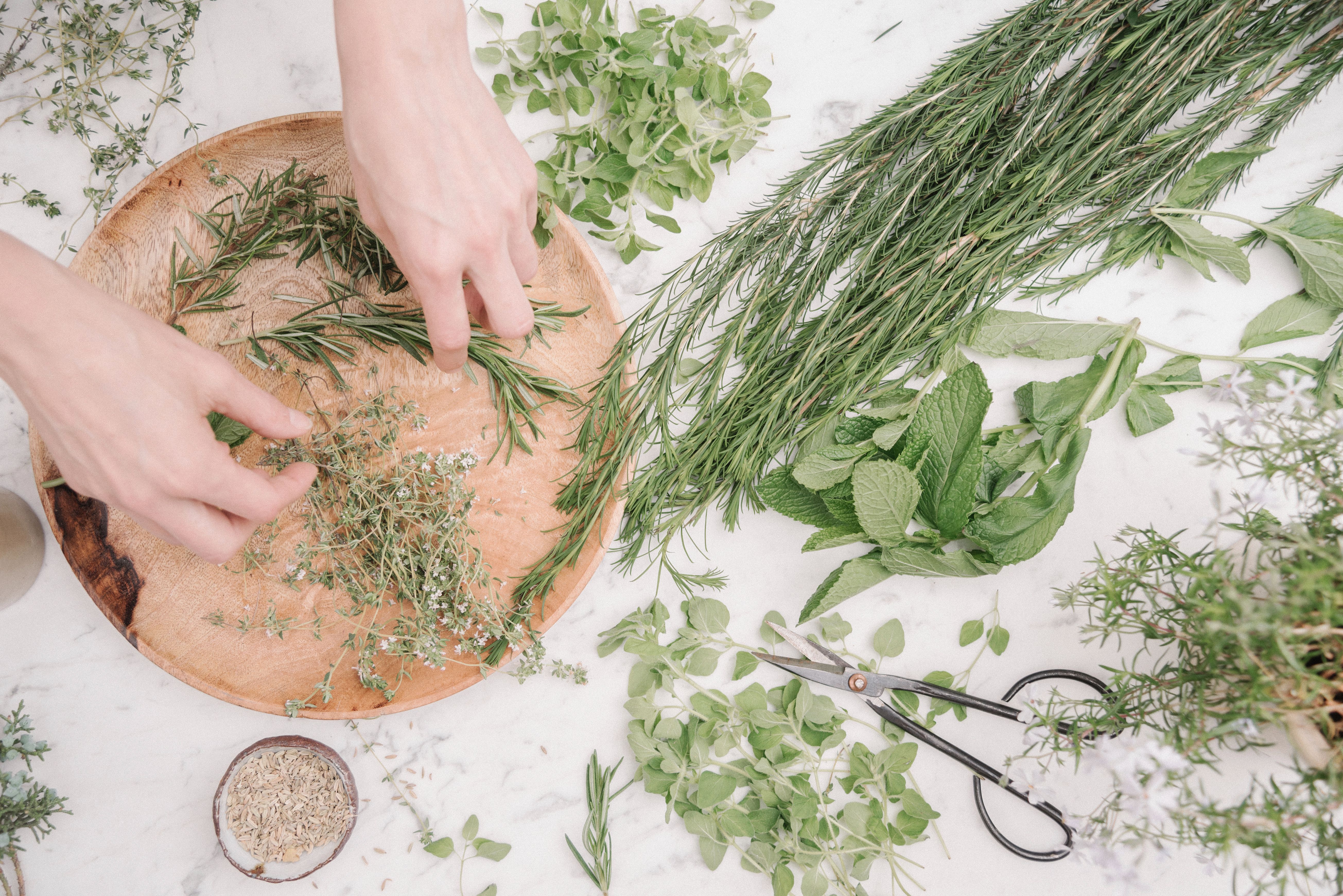 The Best Herbs for Cooking: 10 Herbs Chefs Use to Redefine Dishes