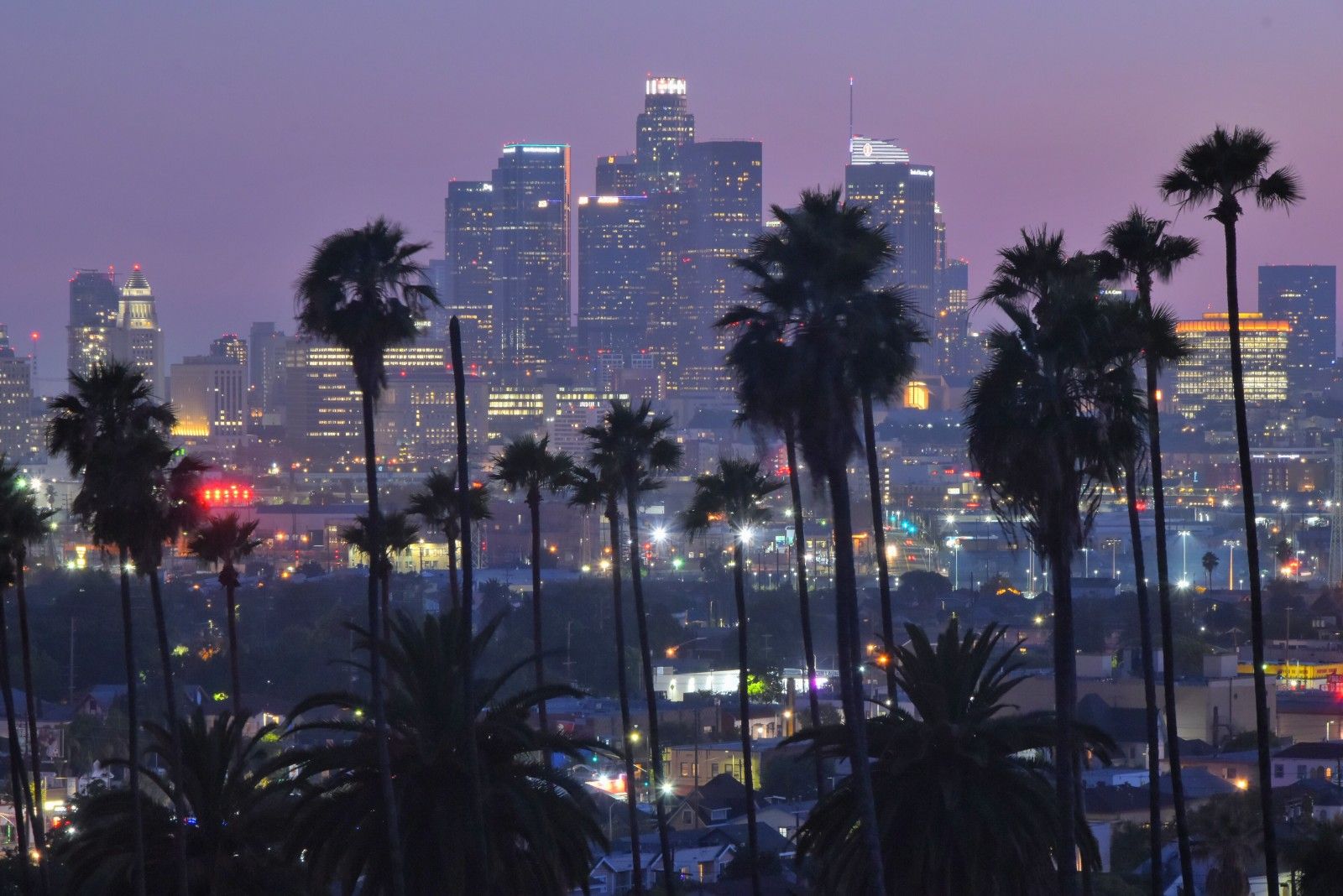 Local Grub: What Food Is Los Angeles Known For?