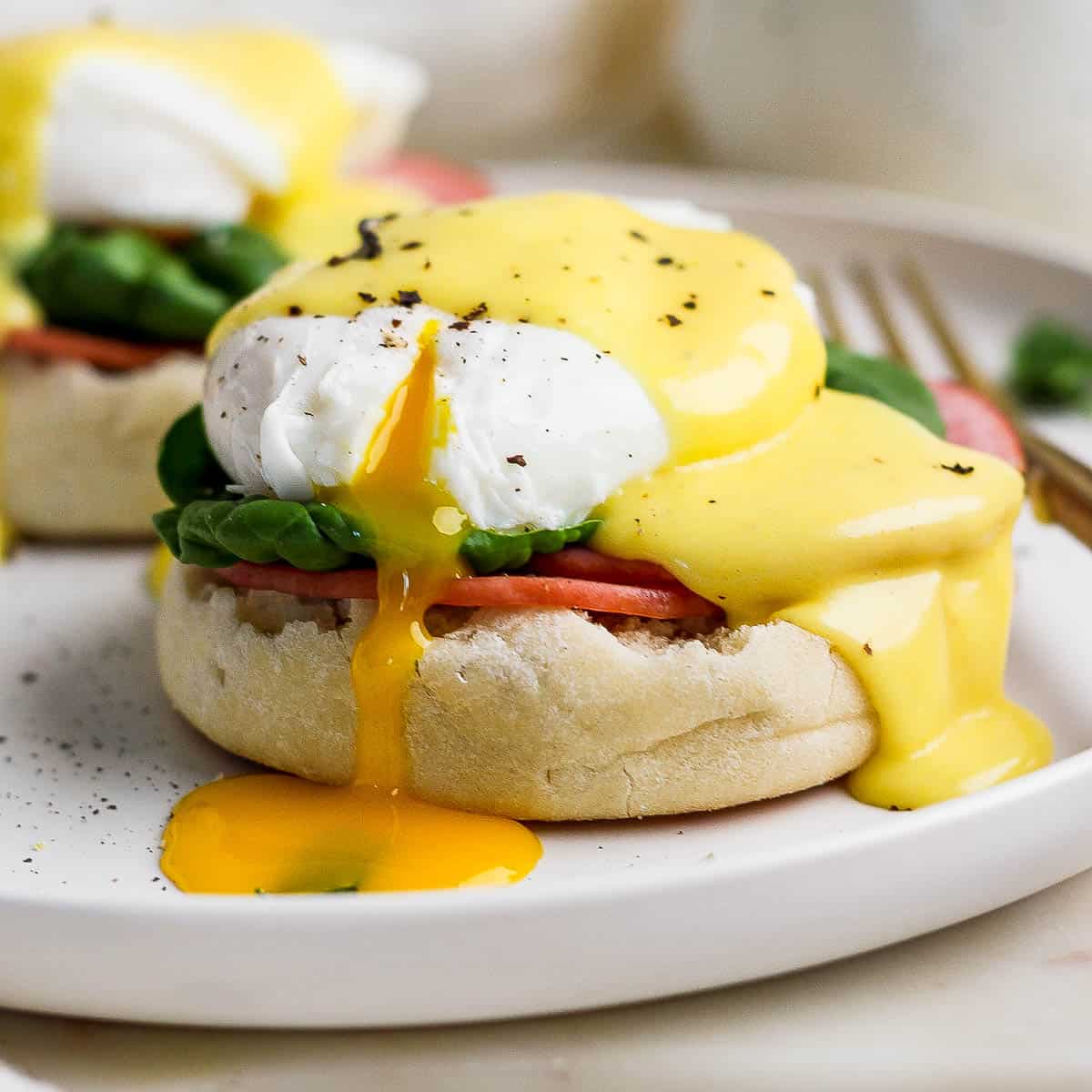 Brunch Break