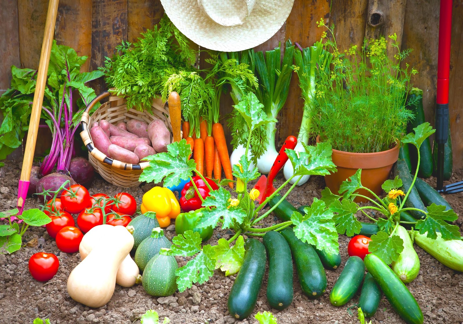 Garden Bounty