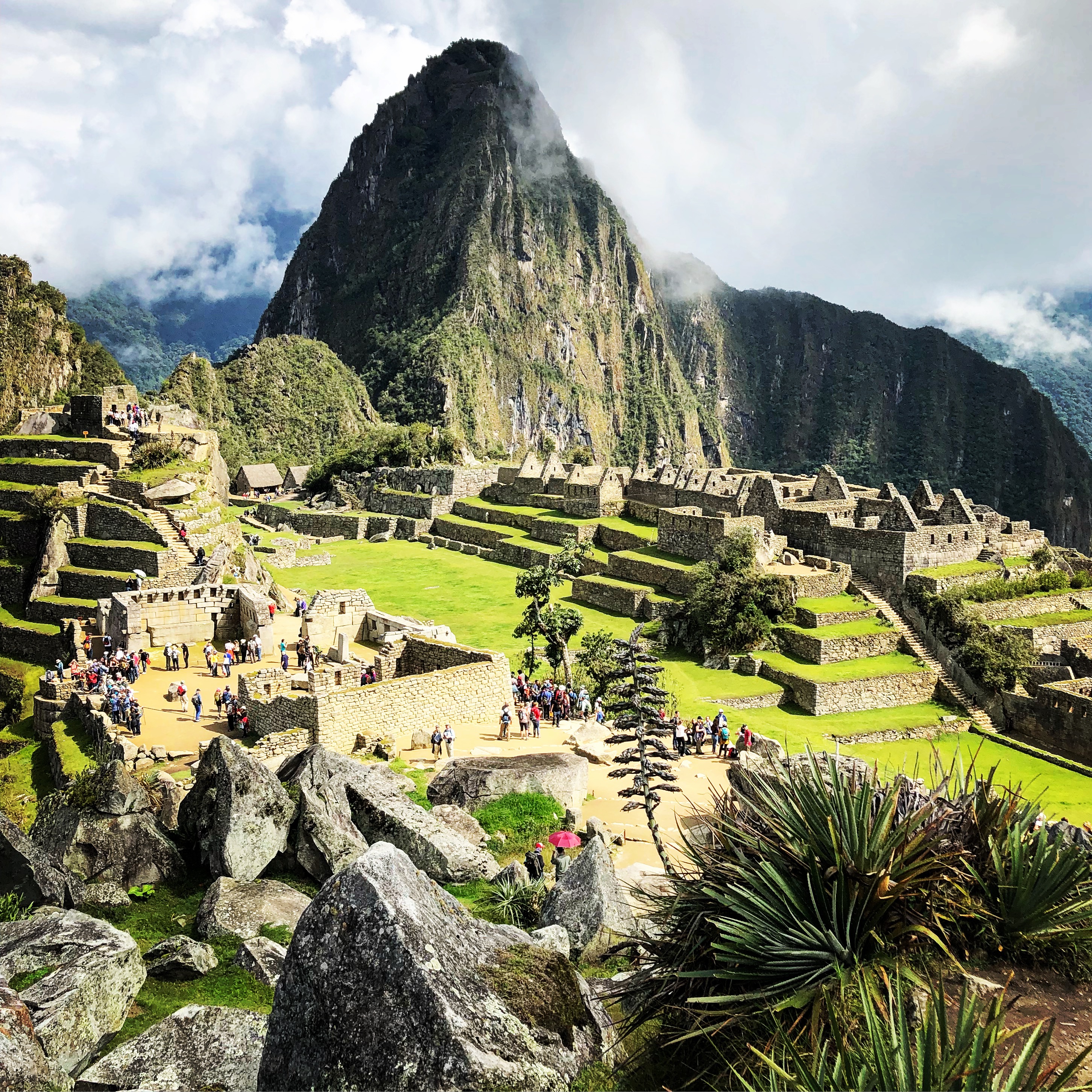 Flavors of Peru