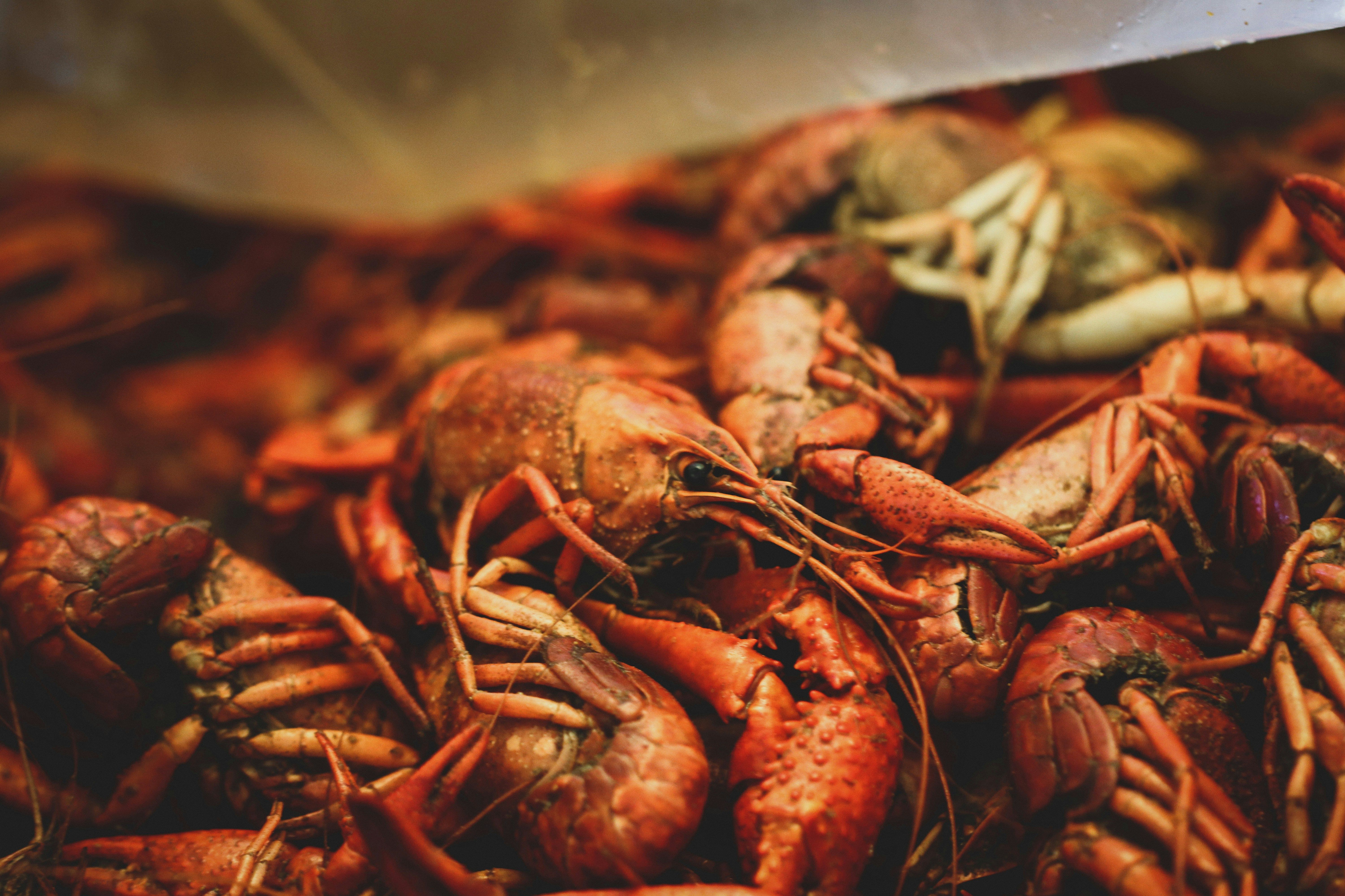 Great Food,[object Object],Getaway