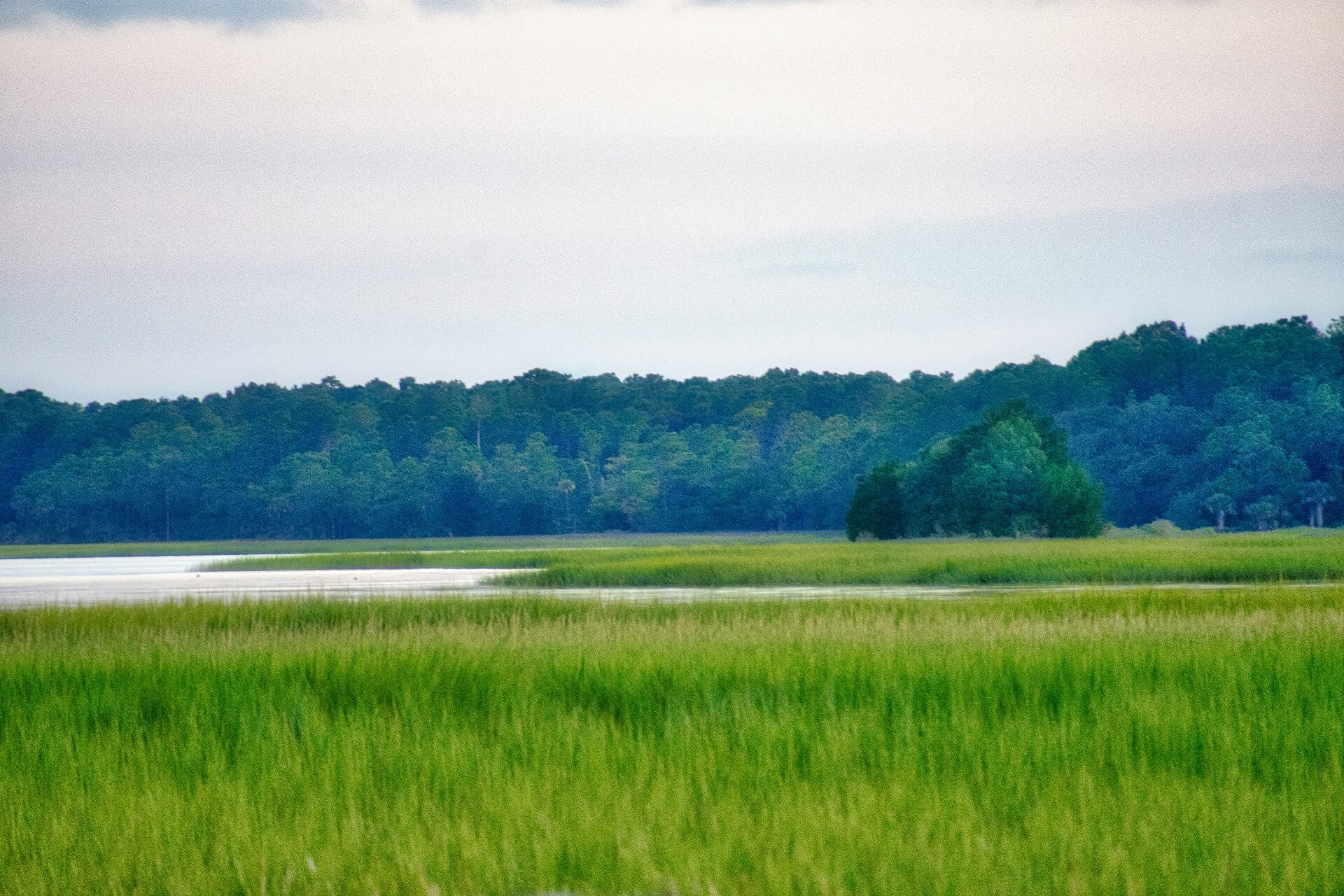 backgroundImage