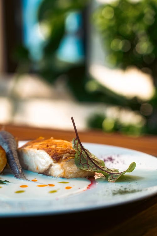 Artistic food presentation with fish and garnish served outdoors, showcasing culinary elegance.